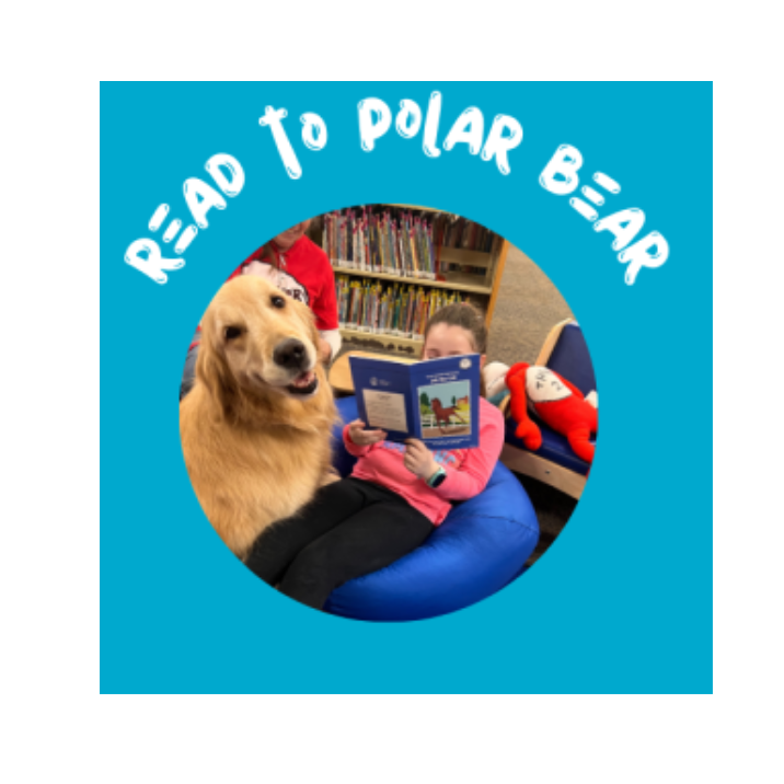 a teal background with the words "Read to Polar Bear" written in white.  In the center is a photo of Polar Bear, a licensed therapy dog, being read to by a young girl who is sitting on a blue bean bag chair