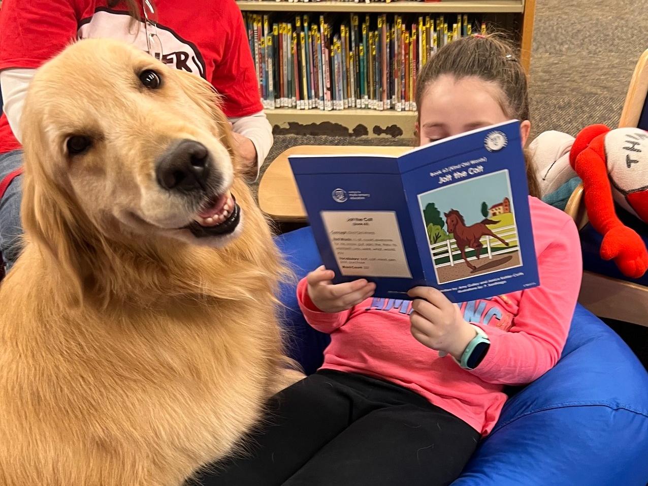 golden retriever "Polar Bear" with library patron reading a book.